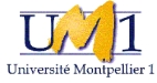 Logo UM1