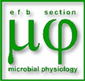 microbial